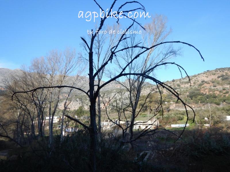 Cueva del Gato (Benaoján a Jimera de Libar) 20/01/2018 DSCN5137 (Copy)