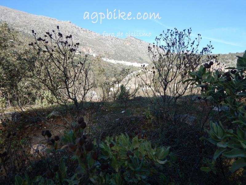Cueva del Gato (Benaoján a Jimera de Libar) 20/01/2018 DSCN5150 (Copy)
