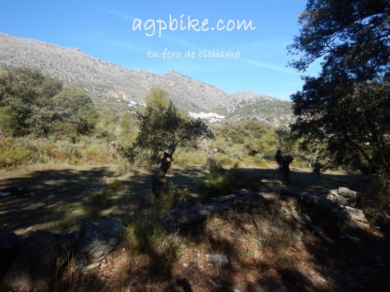 Cueva del Gato (Benaoján a Jimera de Libar) 20/01/2018 DSCN5156 (Copy)