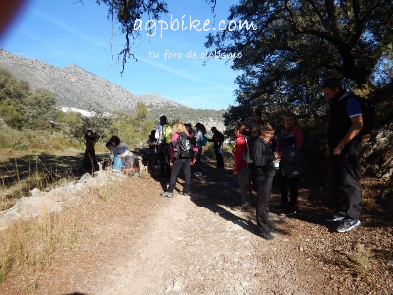 Cueva del Gato (Benaoján a Jimera de Libar) 20/01/2018 DSCN5156 (Copy)