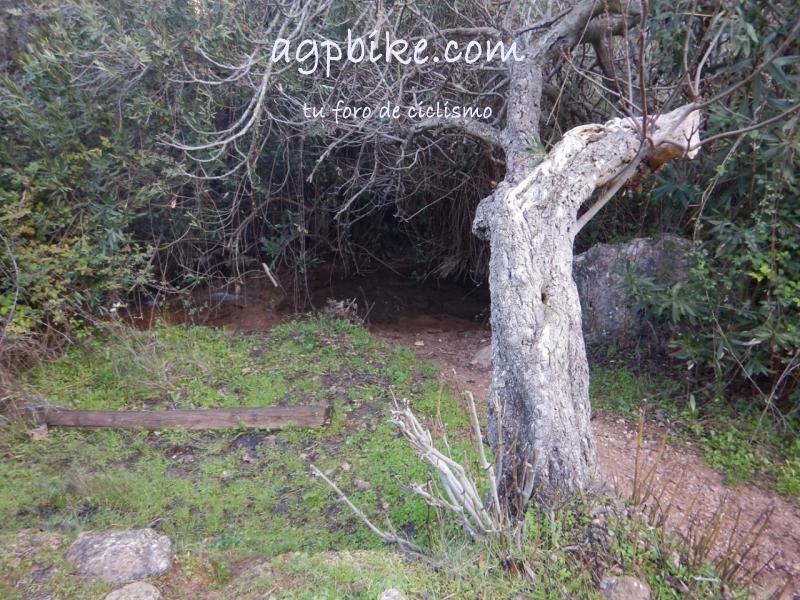 Cueva del Gato (Benaoján a Jimera de Libar) 20/01/2018 DSCN5162 (Copy)