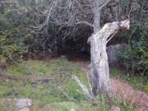 Cueva del Gato (Benaoján a Jimera de Libar) 20/01/2018 DSCN5162 (Copy)