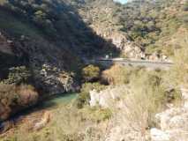 Cueva del Gato (Benaoján a Jimera de Libar) 20/01/2018 DSCN5168 (Copy)