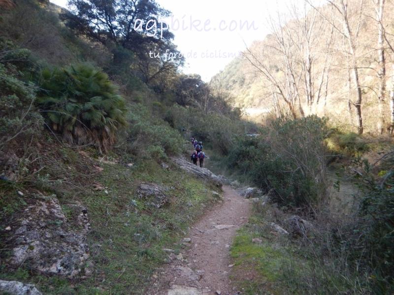 Cueva del Gato (Benaoján a Jimera de Libar) 20/01/2018 DSCN5168 (Copy)