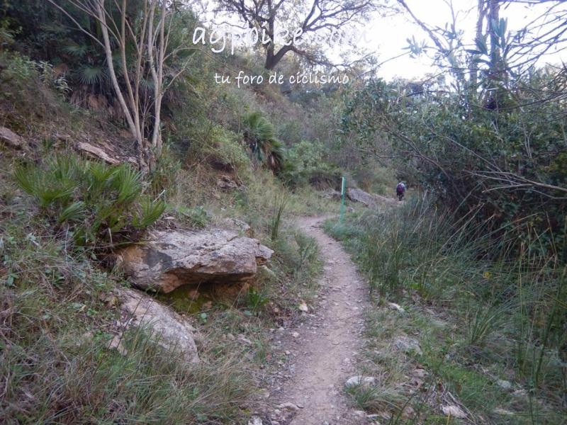 Cueva del Gato (Benaoján a Jimera de Libar) 20/01/2018 DSCN5168 (Copy)