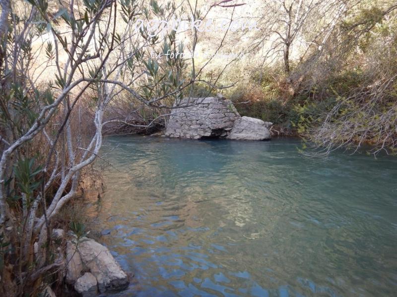 Cueva del Gato (Benaoján a Jimera de Libar) 20/01/2018 DSCN5168 (Copy)