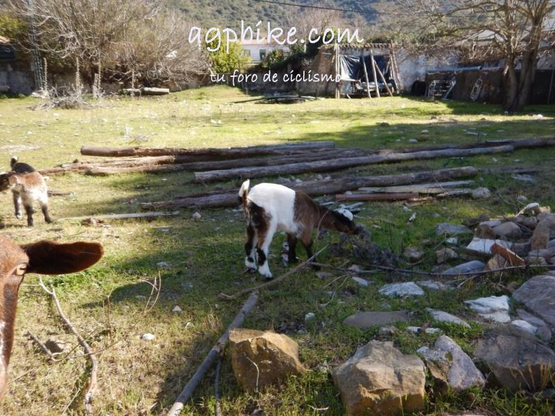 Cueva del Gato (Benaoján a Jimera de Libar) 20/01/2018 DSCN5192 (Copy)