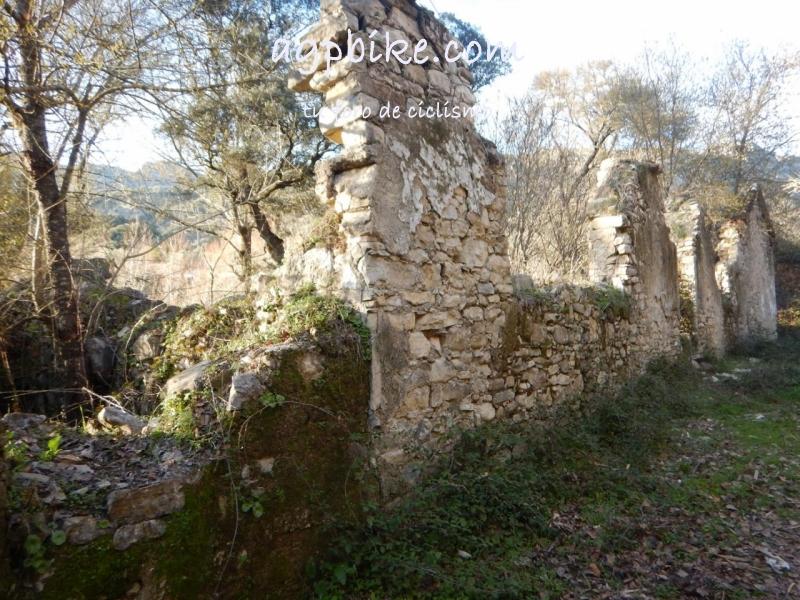 Cueva del Gato (Benaoján a Jimera de Libar) 20/01/2018 DSCN5228 (Copy)