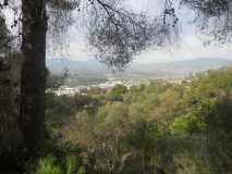 Crónica. Subida al Santo de Pizarra 06/01/2015 DSCN2849