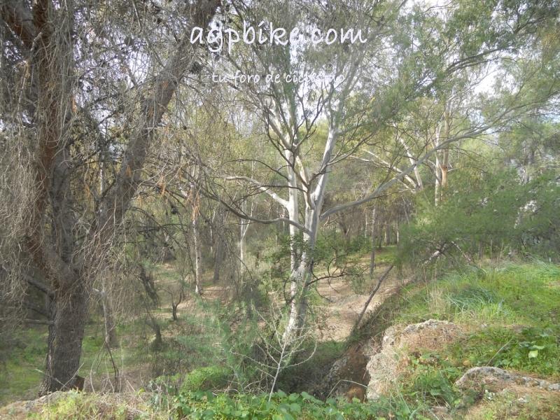 Crónica. Subida al Santo de Pizarra 06/01/2015 DSCN2851