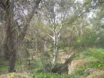 Crónica. Subida al Santo de Pizarra 06/01/2015 DSCN2851