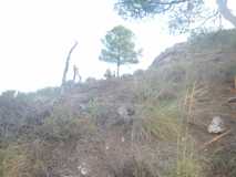 Uvas Solidarias de fin de año 2019 en el Santo Pizarra DSCN8330