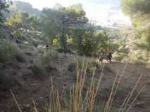 Uvas Solidarias de fin de año 2019 en el Santo Pizarra DSCN8337