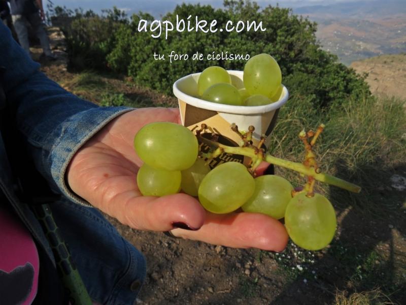 Uvas Solidarias de fin de año 2019 en el Santo Pizarra 1