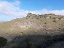 Uvas Solidarias de fin de año 2019 en el Santo Pizarra I