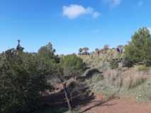 Uvas Solidarias de fin de año 2019 en el Santo Pizarra Ñ