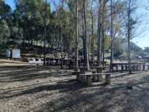 Uvas Solidarias de fin de año 2019 en el Santo Pizarra Ñ