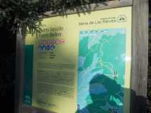 Crónica Vamos a la Nieve..."Sierra de las Nieves" 24/01/2015 DSCN2915