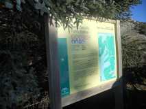 Crónica Vamos a la Nieve..."Sierra de las Nieves" 24/01/2015 DSCN2915