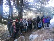 Crónica Vamos a la Nieve..."Sierra de las Nieves" 24/01/2015 DSCN2925