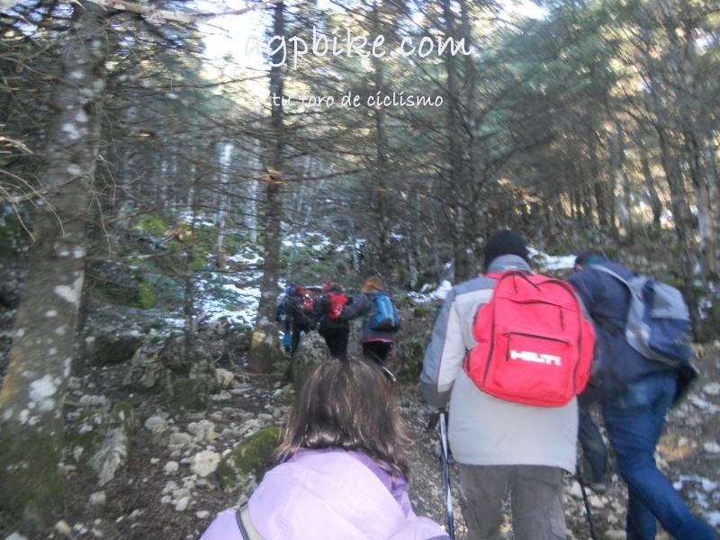Crónica Vamos a la Nieve..."Sierra de las Nieves" 24/01/2015 DSCN2925