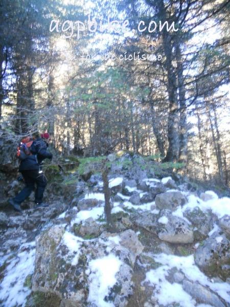 Crónica Vamos a la Nieve..."Sierra de las Nieves" 24/01/2015 DSCN2931