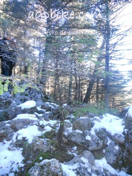 Crónica Vamos a la Nieve..."Sierra de las Nieves" 24/01/2015 DSCN2931