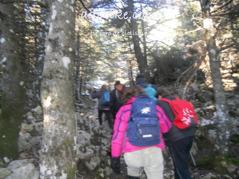 Crónica Vamos a la Nieve..."Sierra de las Nieves" 24/01/2015 DSCN2931