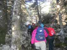 Crónica Vamos a la Nieve..."Sierra de las Nieves" 24/01/2015 DSCN2931