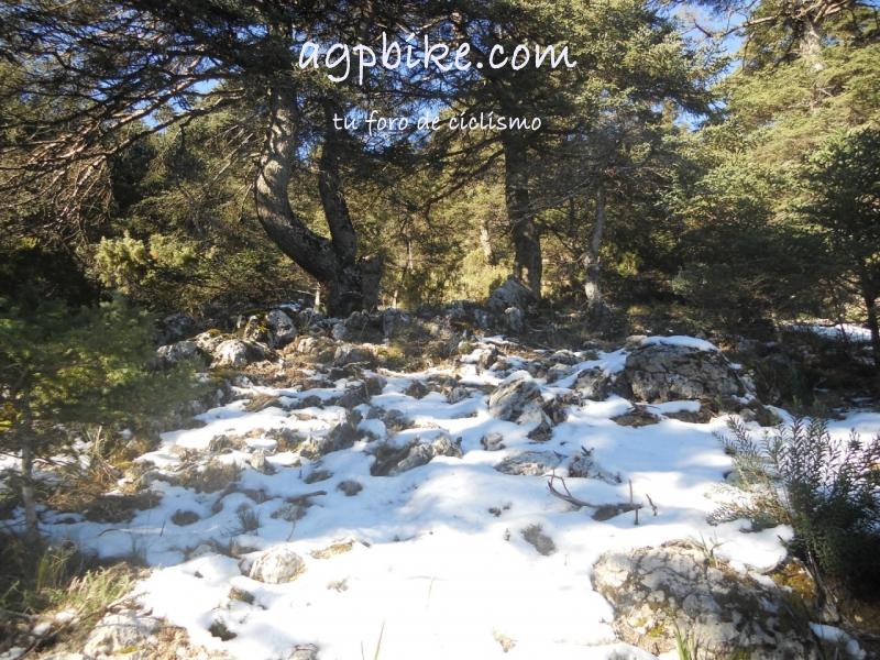 Crónica Vamos a la Nieve..."Sierra de las Nieves" 24/01/2015 DSCN2952