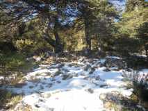 Crónica Vamos a la Nieve..."Sierra de las Nieves" 24/01/2015 DSCN2952
