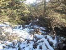 Crónica Vamos a la Nieve..."Sierra de las Nieves" 24/01/2015 DSCN2952