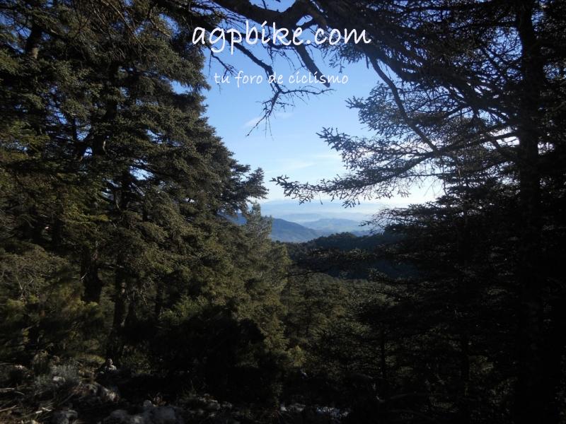 Crónica Vamos a la Nieve..."Sierra de las Nieves" 24/01/2015 DSCN2952