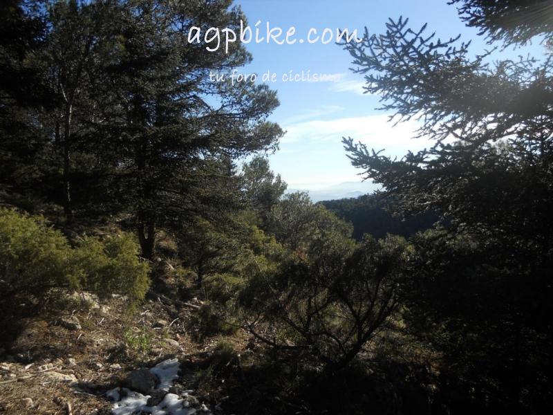Crónica Vamos a la Nieve..."Sierra de las Nieves" 24/01/2015 DSCN2952
