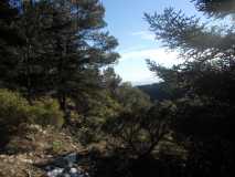 Crónica Vamos a la Nieve..."Sierra de las Nieves" 24/01/2015 DSCN2952