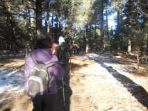 Crónica Vamos a la Nieve..."Sierra de las Nieves" 24/01/2015 DSCN2958