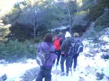 Crónica Vamos a la Nieve..."Sierra de las Nieves" 24/01/2015 DSCN2958