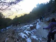 Crónica Vamos a la Nieve..."Sierra de las Nieves" 24/01/2015 DSCN2965