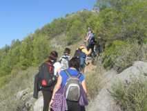 RUTA PICO EL FUERTE FRIGILIANA DSCN2622