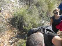 RUTA PICO EL FUERTE FRIGILIANA DSCN2627