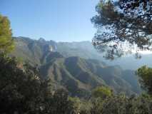 RUTA PICO EL FUERTE FRIGILIANA DSCN2635