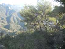 RUTA PICO EL FUERTE FRIGILIANA DSCN2644