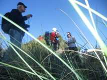 RUTA PICO EL FUERTE FRIGILIANA DSCN2651