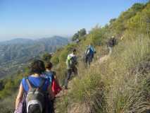RUTA PICO EL FUERTE FRIGILIANA DSCN2659