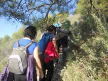 RUTA PICO EL FUERTE FRIGILIANA DSCN2660