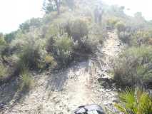 RUTA PICO EL FUERTE FRIGILIANA DSCN2665