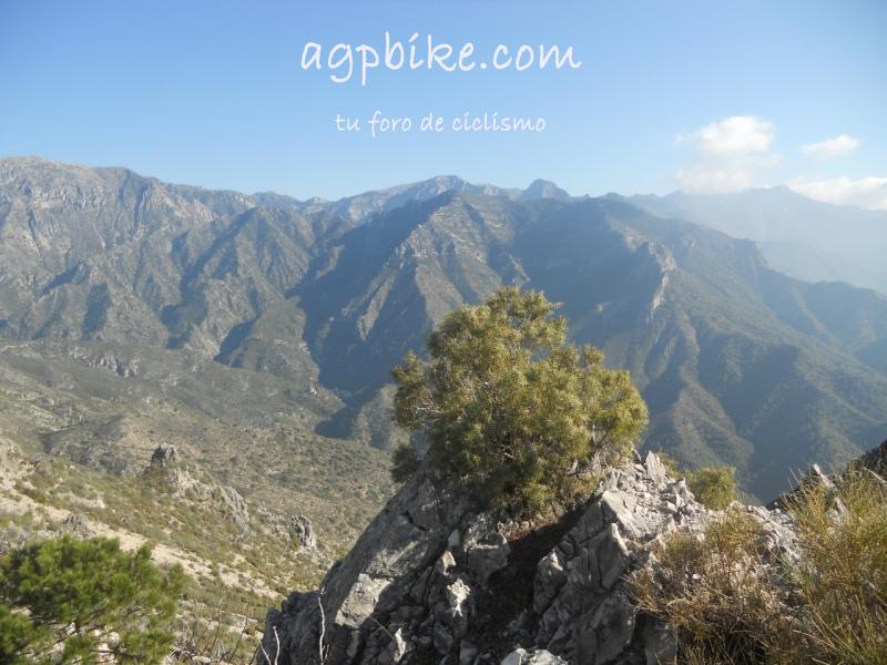 RUTA PICO EL FUERTE FRIGILIANA DSCN2667