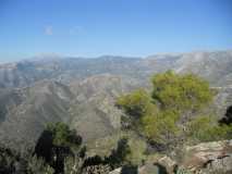 RUTA PICO EL FUERTE FRIGILIANA DSCN2681