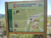 Zahara de la sierra visita al infinito sin llegar/ruta turistica DSCN4464