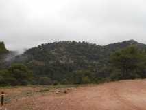 DSCN0545